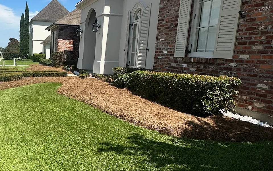 Bed Maintenance in Baton Rouge, LA