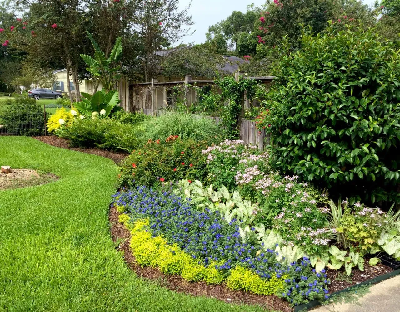 Seasonal annual bed with a crisp curved edge in Baton Rouge, LA