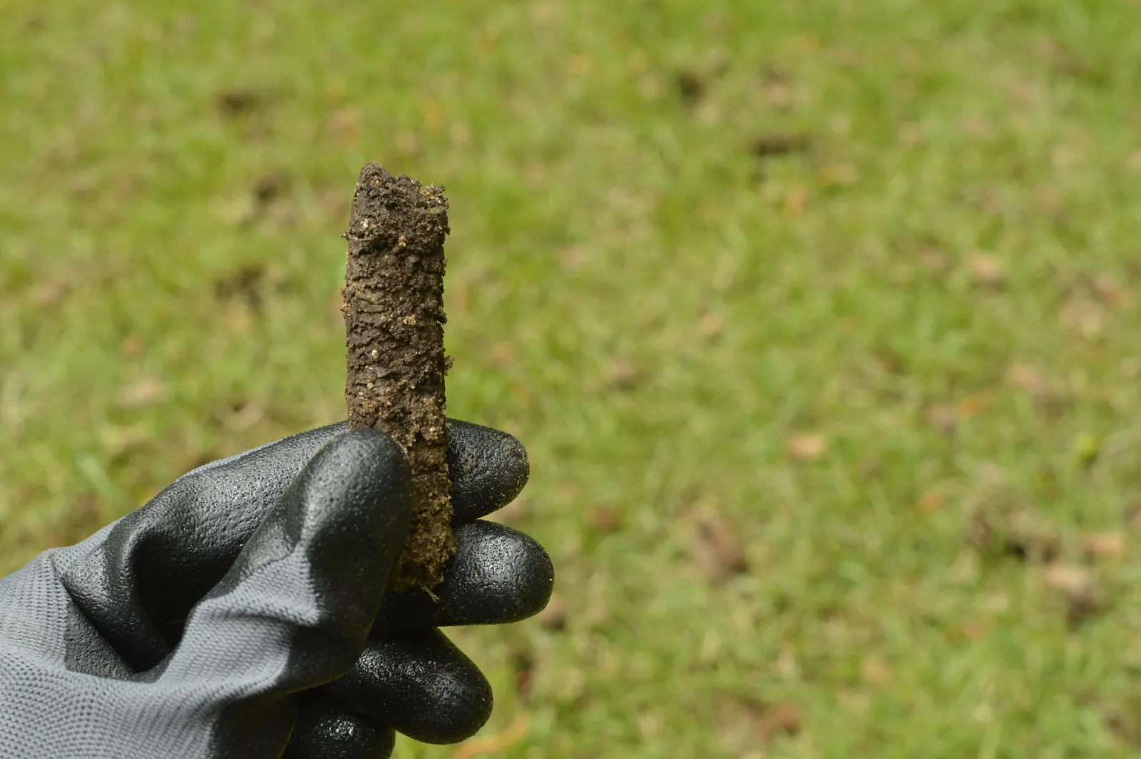 Gloved hand holding a soil core pulled by a lawn aerator in Baton Rouge, LA