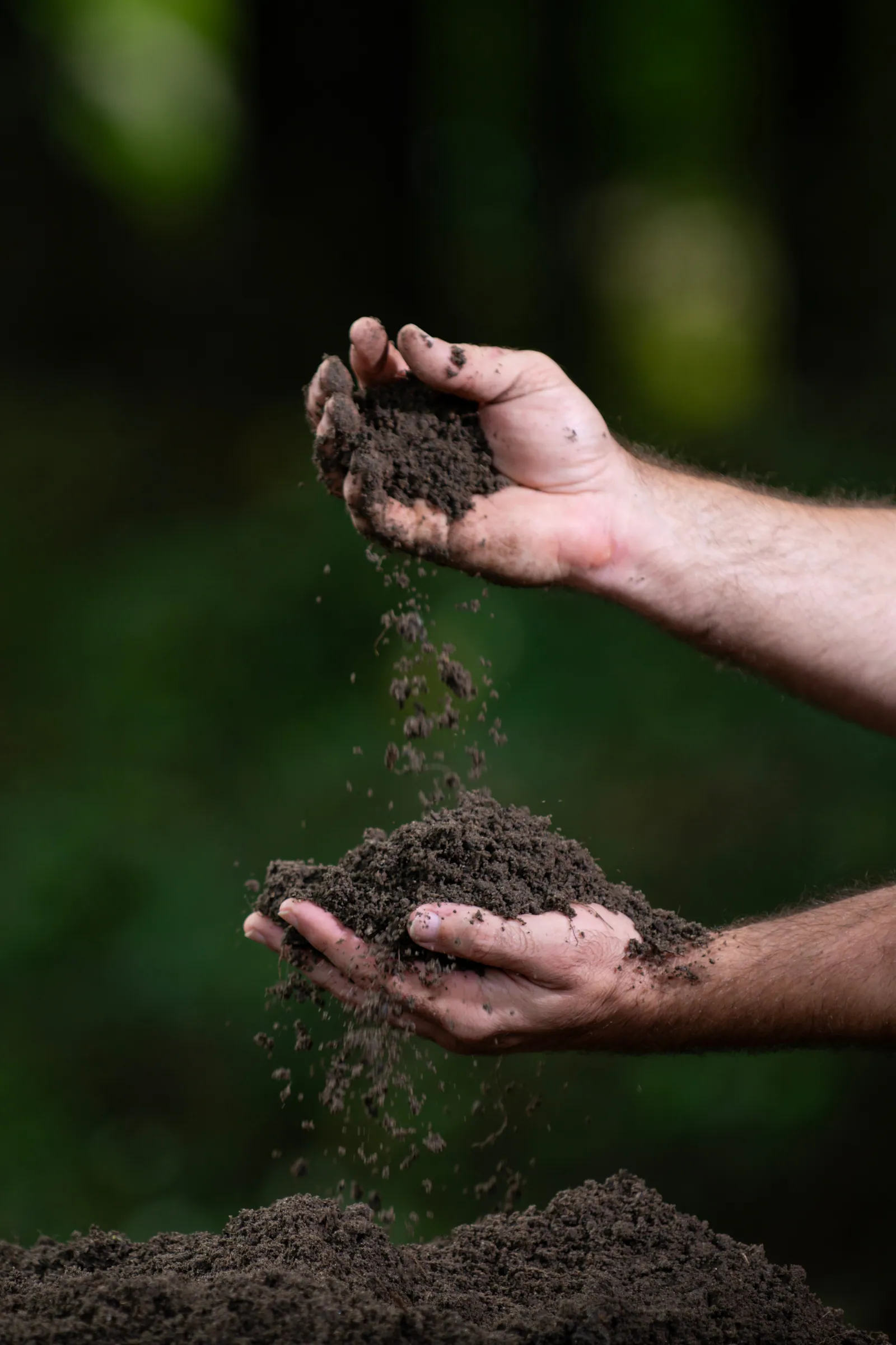 Hands letting loose, dark soil fall through their fingers in Baton Rouge, LA