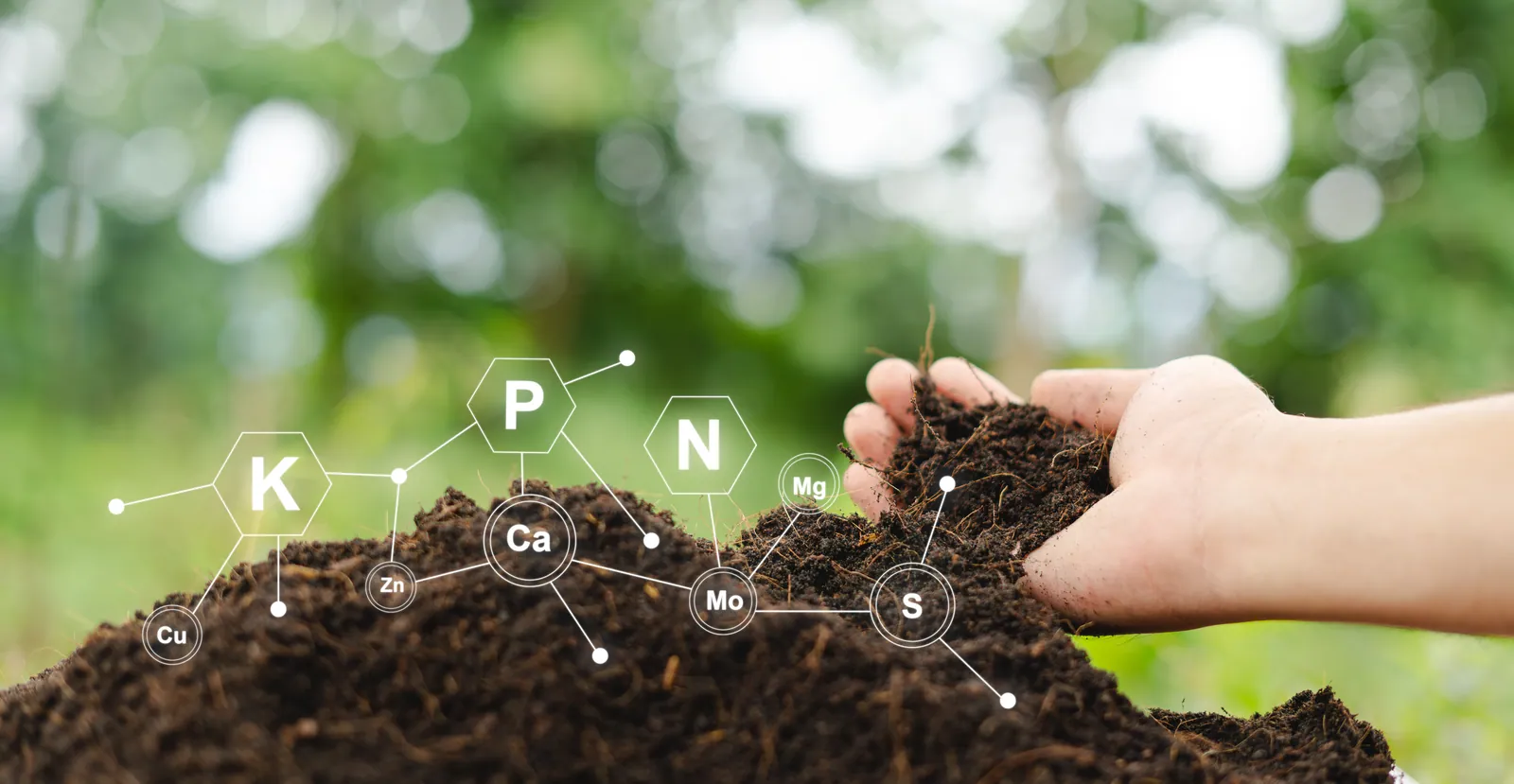 Hand scooping dark soil with nutrient symbols for potassium, phosphorus and nitrogen in Baton Rouge, LA