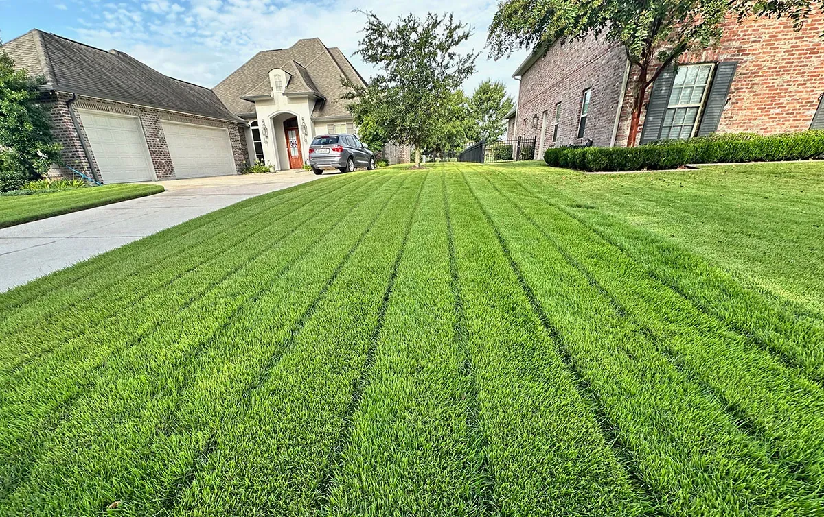 Lawn Fertilization & Weed Control in Baton Rouge, LA