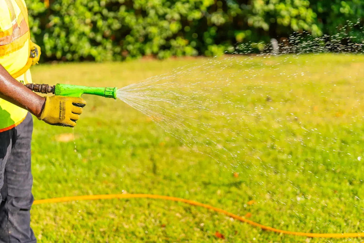 7 Step Annual Lawn Treatment Program in Walker, LA