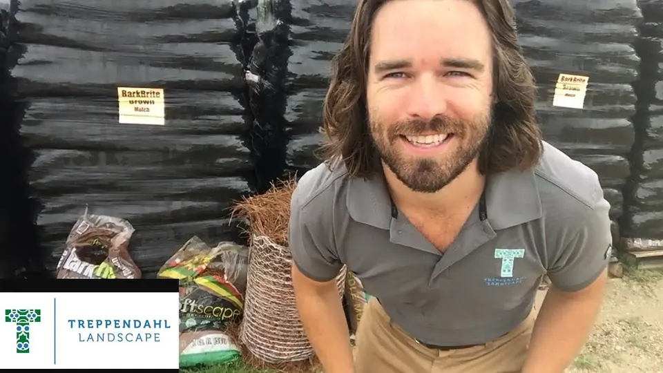How to Mulch Your Beds