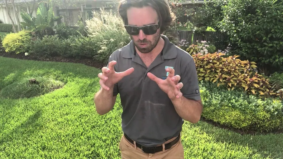 When to Start a Lawn Program