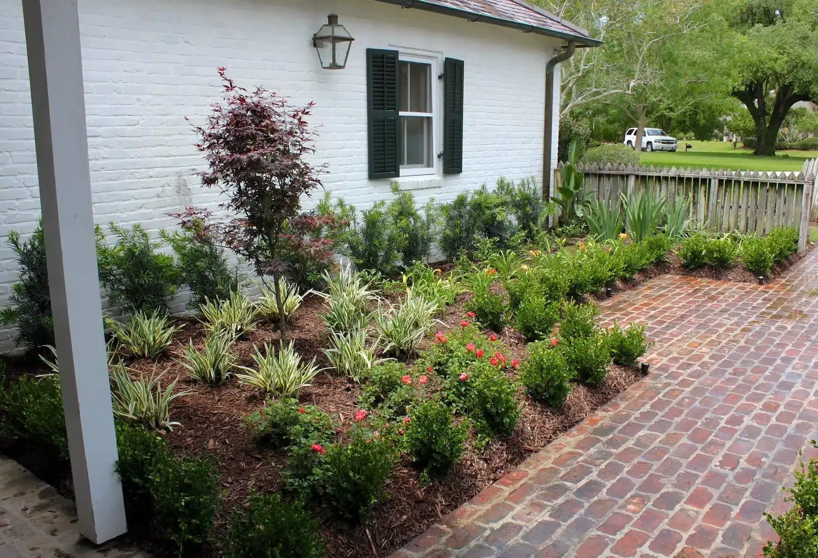 Tropical mix and Japanese maple along a brick walk in Sorrento, LA