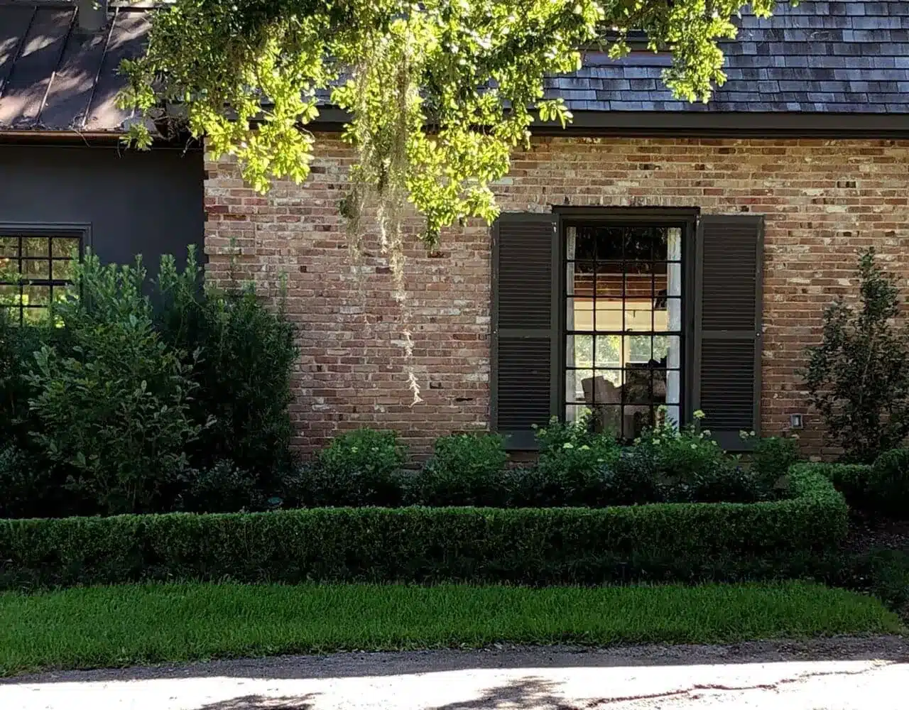 Clipped boxwood hedge along a brick home in Baton Rouge, LA