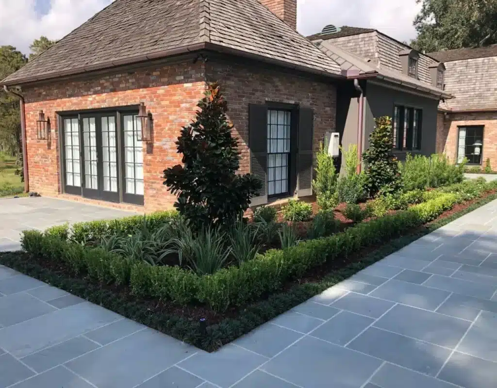 New corner bed with a magnolia and boxwood border in Baton Rouge, LA