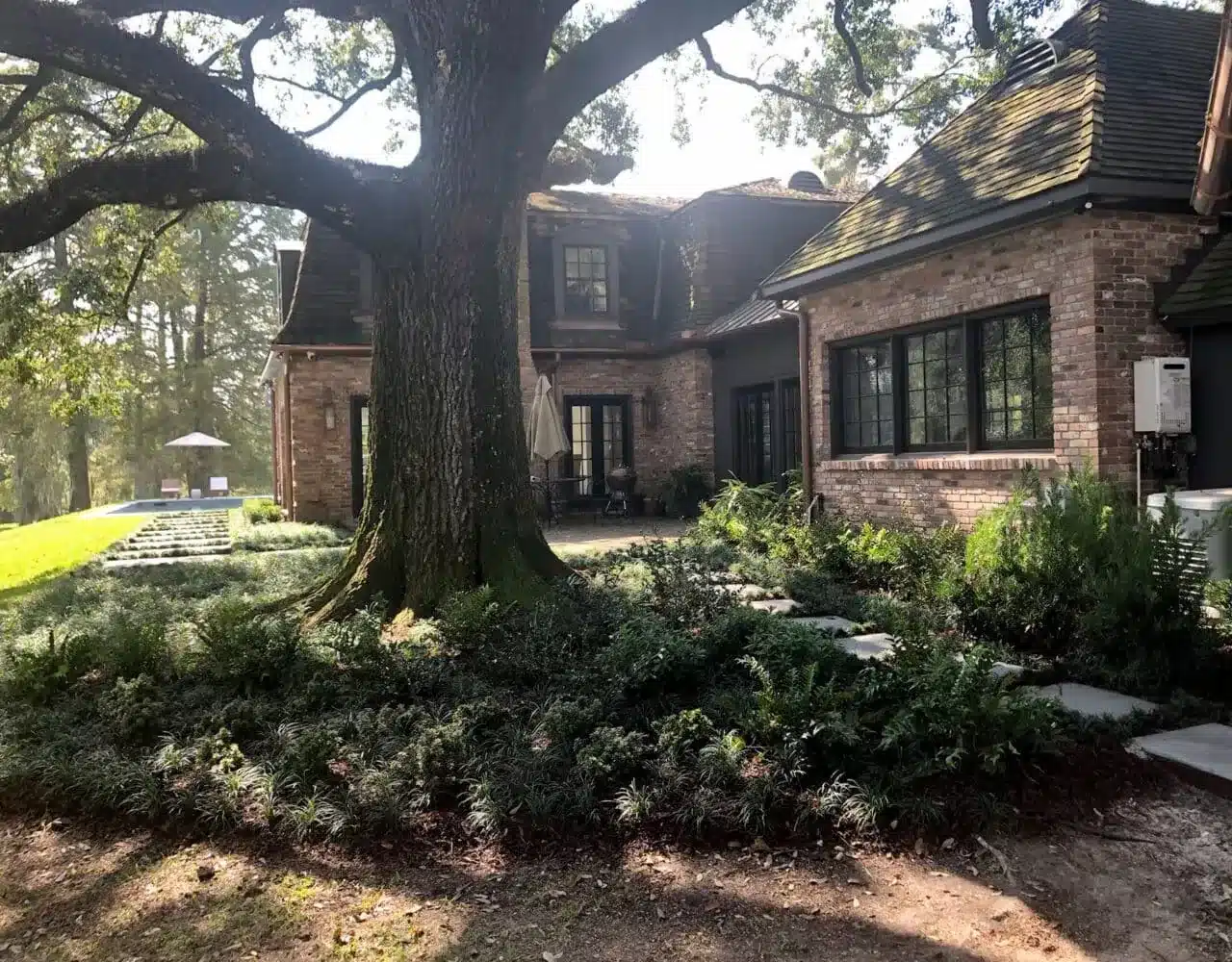 New shade beds beneath a live oak in Lafayette, LA