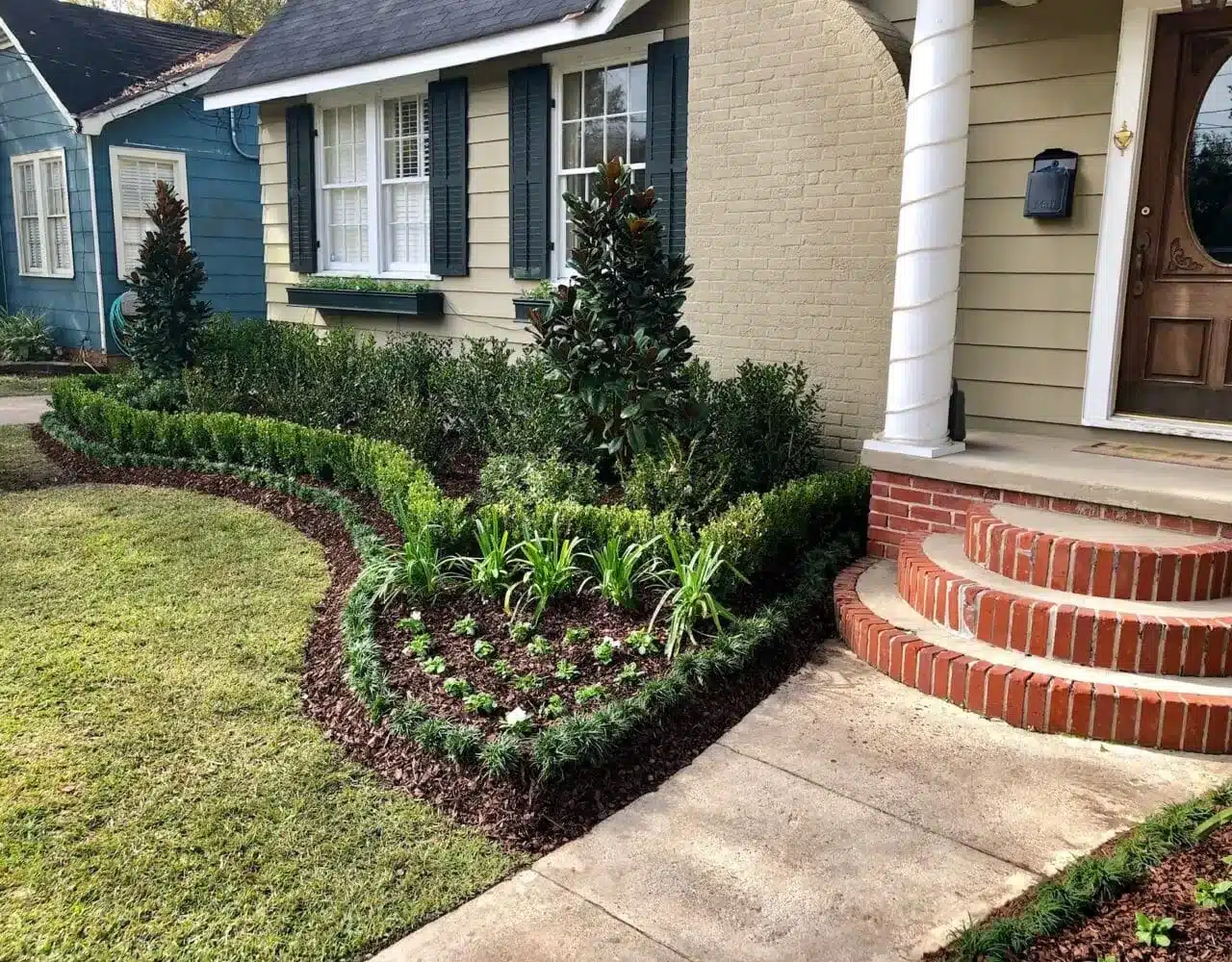Curved front bed with boxwood border and fresh mulch in Denham Springs, LA