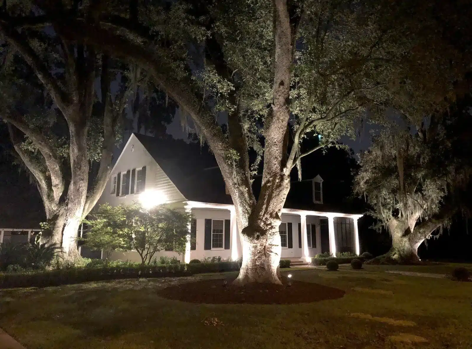 Live oaks uplit at night in front of a white home in Baton Rouge, LA