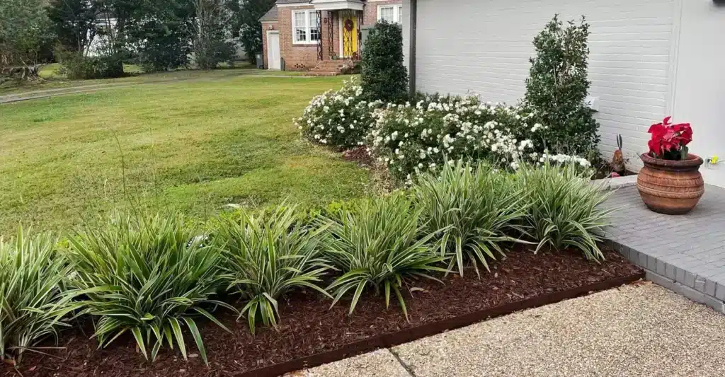 The Best Low-Maintenance Plants and Shrubs in Baton Rouge, LA