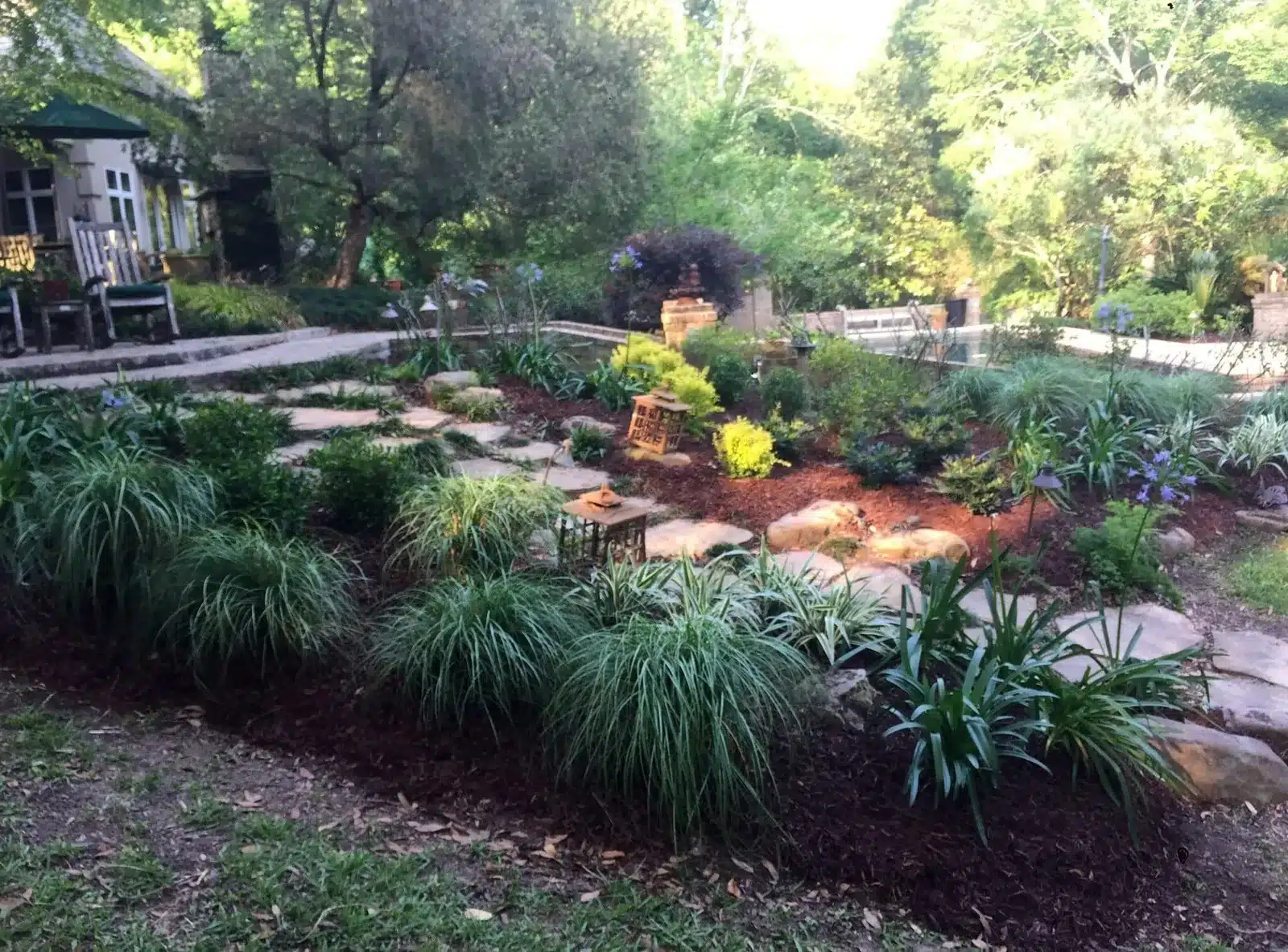 Ornamental grasses refreshing a large bed in Breaux Bridge, LA